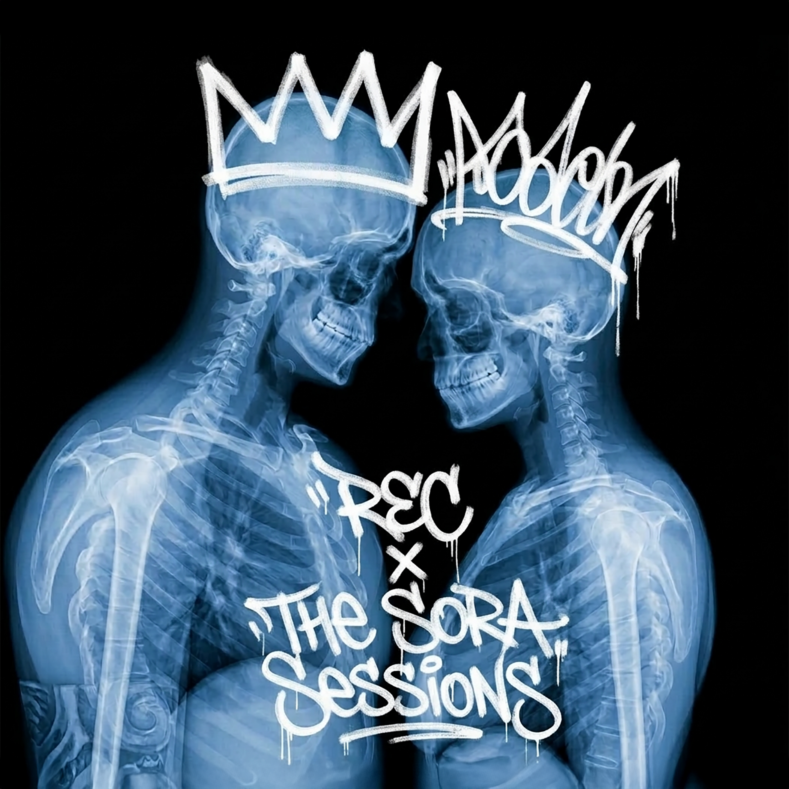 The Sora Sessions